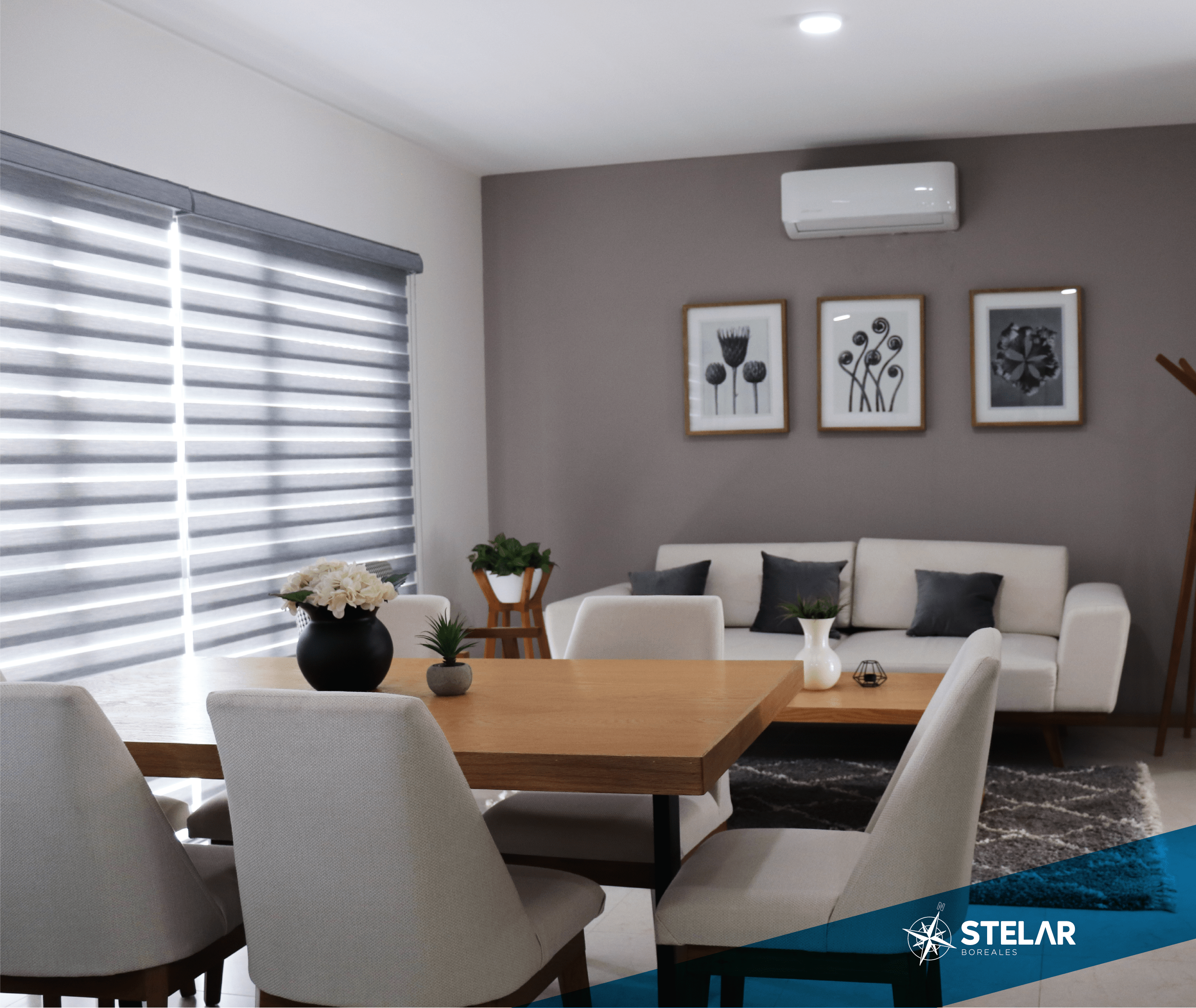 Stelar Boreales Desarrollo de casas