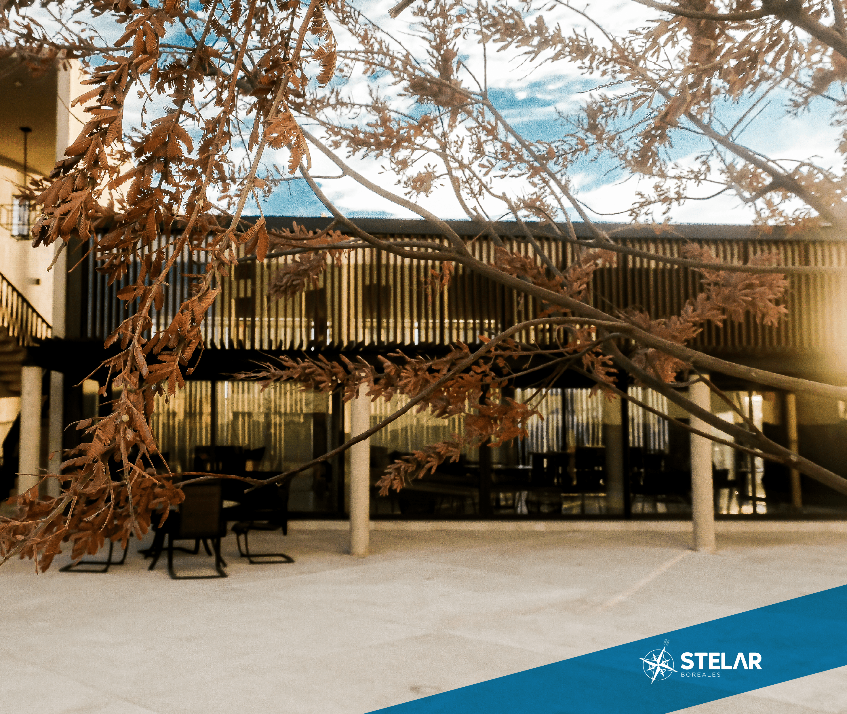 Stelar Boreales Desarrollo de casas