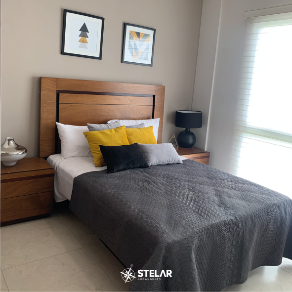 Stelar Bugambilias Desarrollo de casas