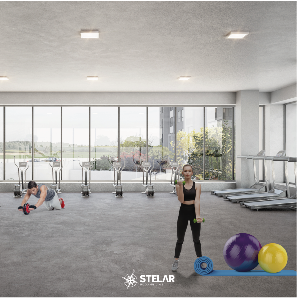 Stelar Bugambilias Desarrollo de casas